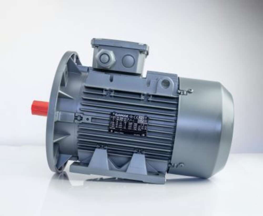 Електродвигун AGM3EL 100 L 4B 3,000 KW 1500 230V D/400V Y 50HZ, 460V Y 60HZ. B35