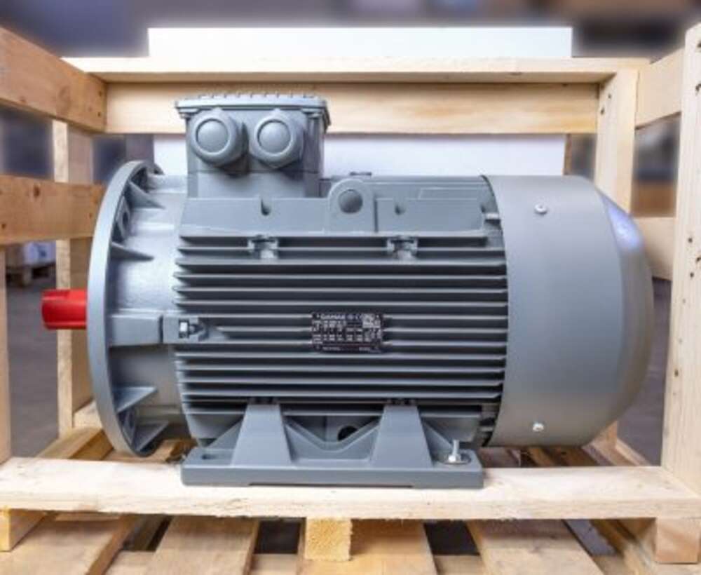 Електродвигун AGM3EL 160 L 4B 15,000 KW 1500 400V D/690V Y 50HZ, 460V D B35