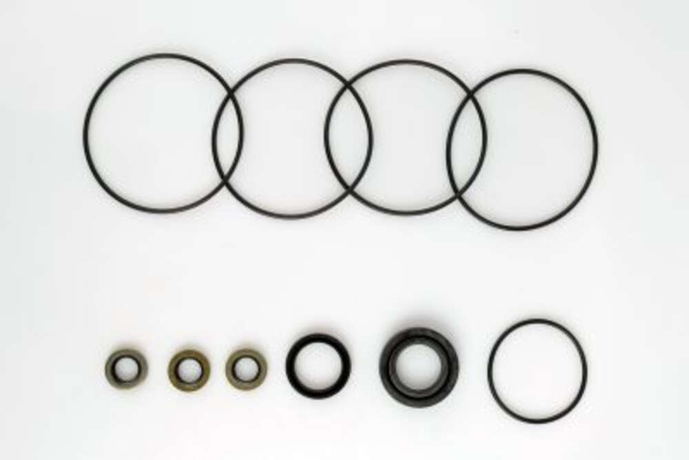 Ремкомплект BMM SEAL KITS
