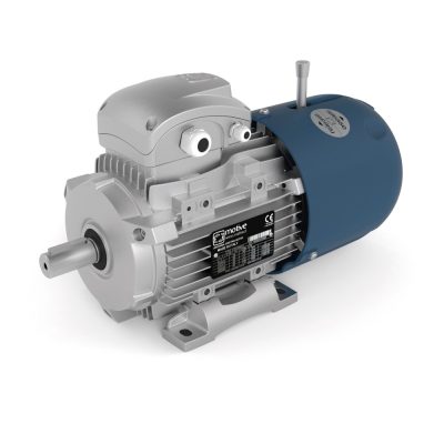 Електродвигун AGM3EL 200 L 4A 30,000 KW 1500 400V D/690V Y 50Hz, 460V D 60HZ. B35
