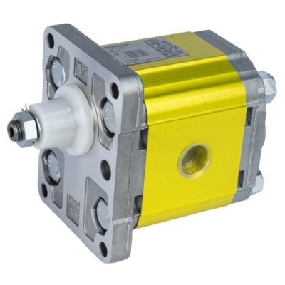 Насоси шестеренні XV-2 (Ø36.5 FLANGE - BSPP ports)