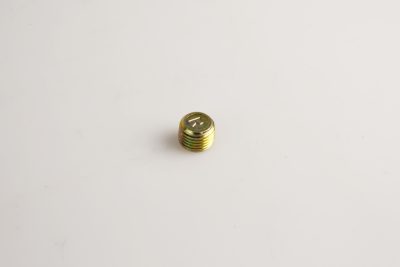 Заглушка AGRK(1/4"-19 BSPT)